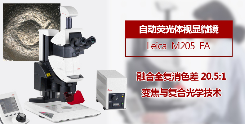 徕卡leica m205 fa 自动荧光体视显微镜